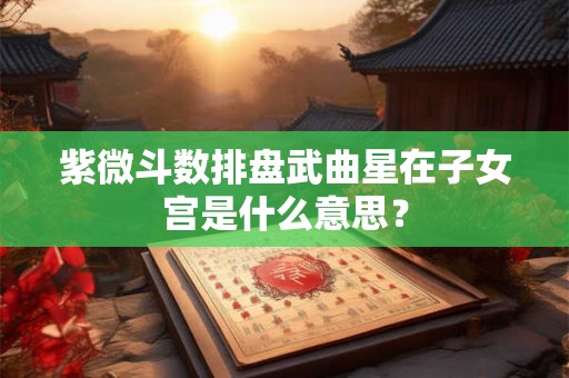 紫微斗数排盘武曲星在子女宫是什么意思？