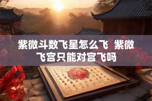 紫微斗数飞星怎么飞  紫微飞宫只能对宫飞吗