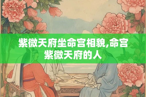 紫微天府坐命宫相貌,命宫紫微天府的人