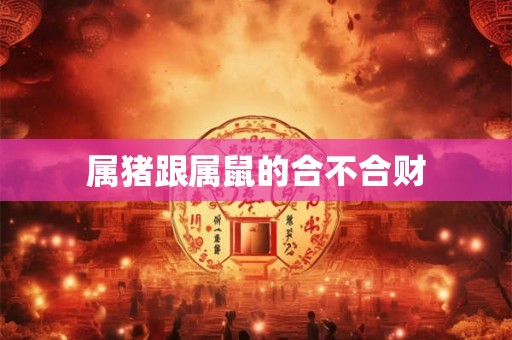 属猪跟属鼠的合不合财