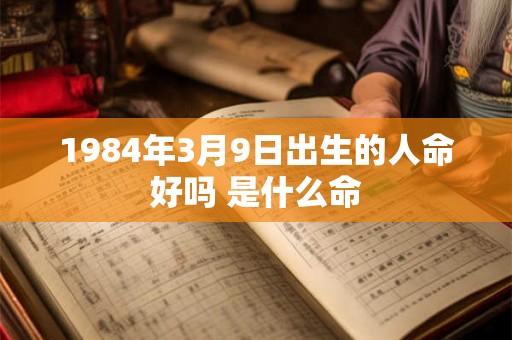 1984年3月9日出生的人命好吗 是什么命 1984年3月9日出生的人命好吗 是什么命