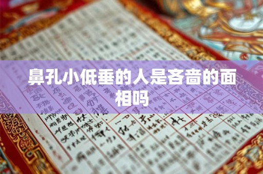 鼻孔小低垂的人是吝啬的面相吗