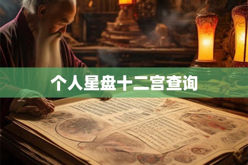 个人星盘十二宫查询
