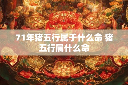 71年猪五行属于什么命 猪五行属什么命 71年猪五行属于什么命 猪五行属什么命