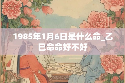 1985年1月6日是什么命_乙巳命命好不好
