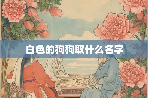 白色的狗狗取什么名字