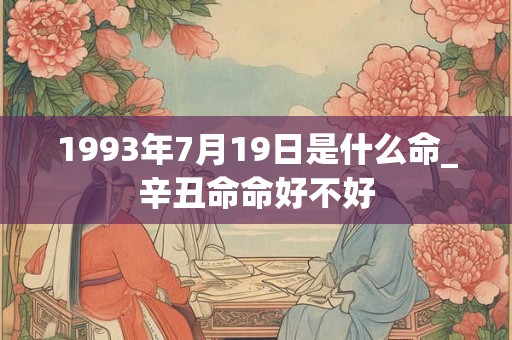 1993年7月19日是什么命_辛丑命命好不好
