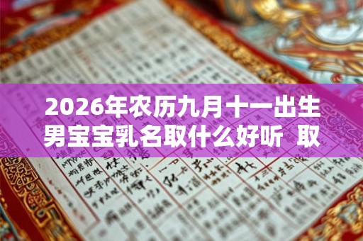 2026年农历九月十一出生男宝宝乳名取什么好听 取名小技巧 2026年农历九月十一出生男宝宝乳名取什么好听 取名小技巧