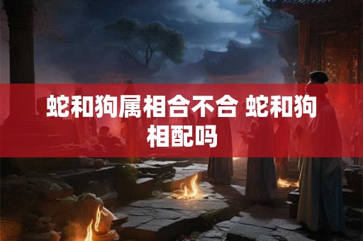 蛇和狗属相合不合 蛇和狗相配吗
