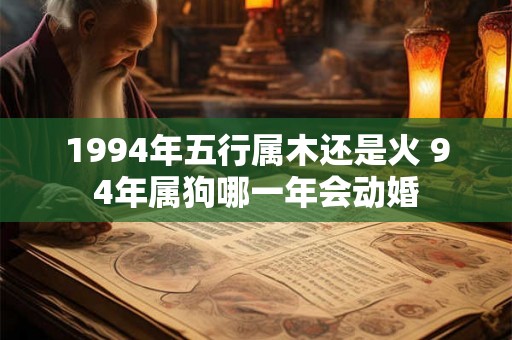 1994年五行属木还是火 94年属狗哪一年会动婚