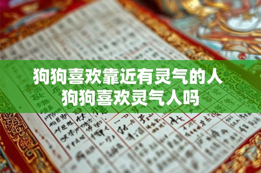 狗狗喜欢靠近有灵气的人 狗狗喜欢灵气人吗