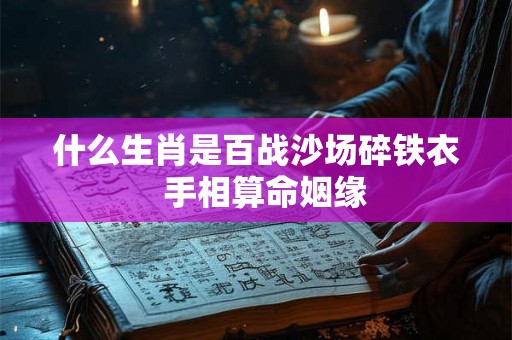 什么生肖是百战沙场碎铁衣  手相算命姻缘