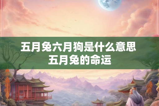 五月兔六月狗是什么意思 五月兔的命运 五月兔六月狗是什么意思 五月兔的命运