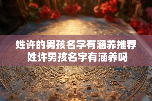 姓许的男孩名字有涵养推荐 姓许男孩名字有涵养吗