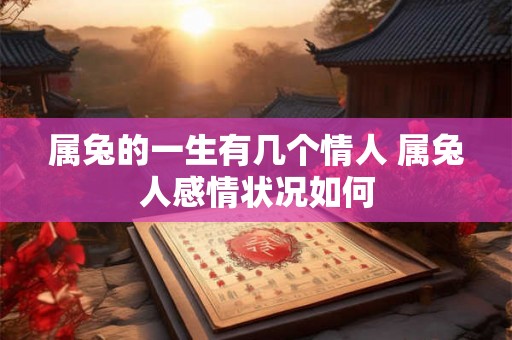 属兔的一生有几个情人 属兔人感情状况如何