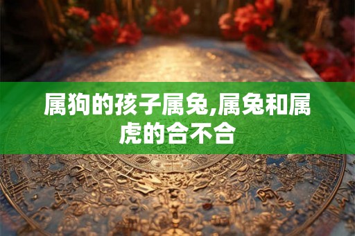 属狗的孩子属兔,属兔和属虎的合不合