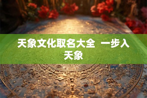 天象文化取名大全  一步入天象