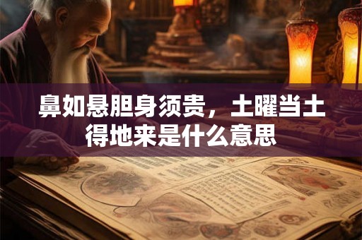 鼻如悬胆身须贵，土曜当土得地来是什么意思