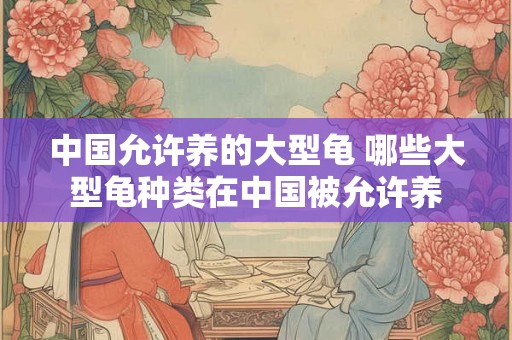 中国允许养的大型龟 哪些大型龟种类在中国被允许养 中国允许养的大型龟 哪些大型龟种类在中国被允许养