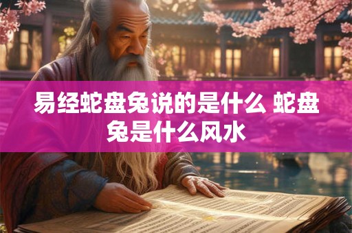 易经蛇盘兔说的是什么 蛇盘兔是什么风水