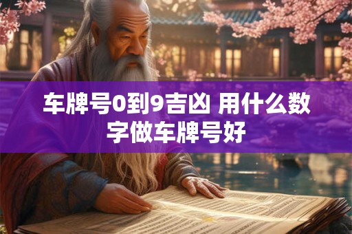 车牌号0到9吉凶 用什么数字做车牌号好