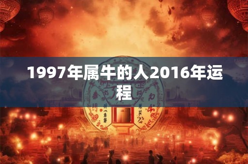 1997年属牛的人2016年运程 1997年属牛的人2016年运程