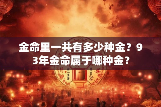 金命里一共有多少种金？93年金命属于哪种金？
