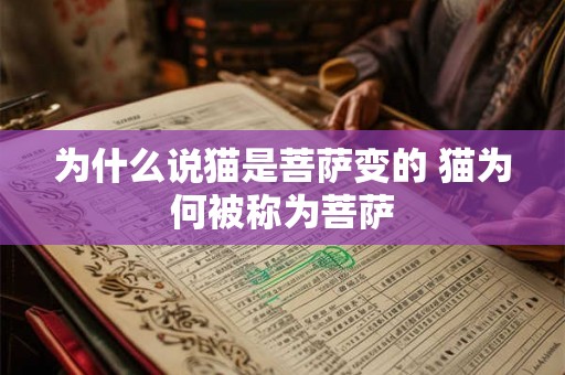 为什么说猫是菩萨变的 猫为何被称为菩萨