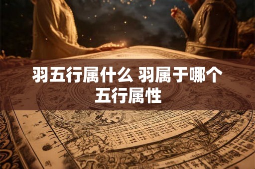 羽五行属什么 羽属于哪个五行属性