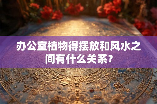 办公室植物得摆放和风水之间有什么关系？