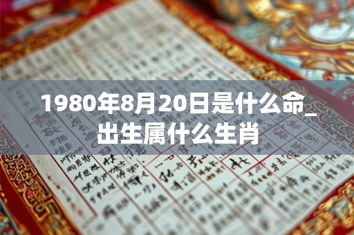 1980年8月20日是什么命_出生属什么生肖