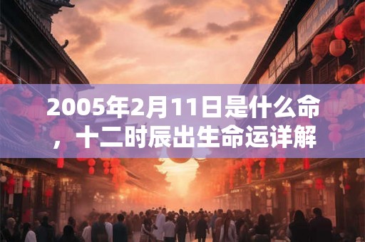 2005年2月11日是什么命，十二时辰出生命运详解