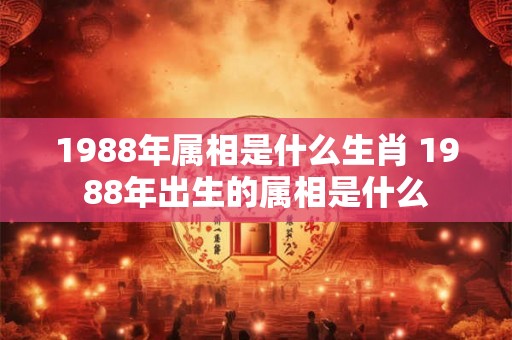 1988年属相是什么生肖 1988年出生的属相是什么 1988年属相是什么生肖 1988年出生的属相是什么