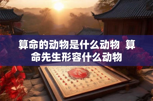 算命的动物是什么动物  算命先生形容什么动物
