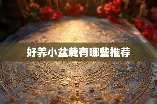 好养小盆栽有哪些推荐 好养小盆栽有哪些推荐