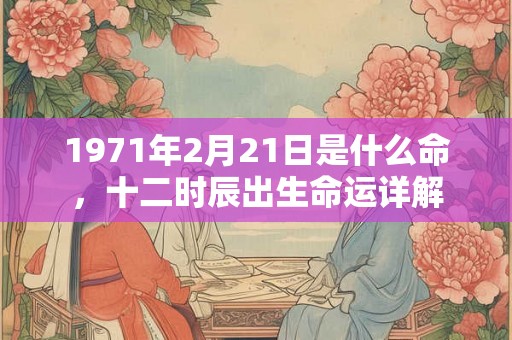 1971年2月21日是什么命,十二时辰出生命运详解 1971年2月21日是什么命,十二时辰出生命运详解