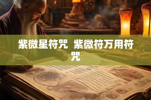 紫微星符咒  紫微符万用符咒