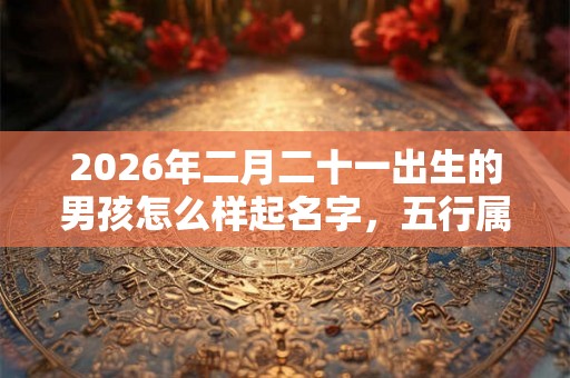 2026年二月二十一出生的男孩怎么样起名字，五行属什么