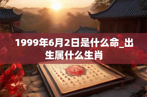 1999年6月2日是什么命_出生属什么生肖