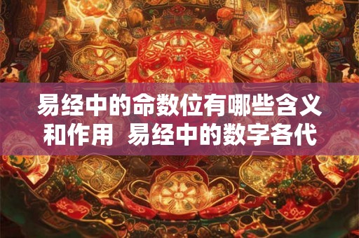 易经中的命数位有哪些含义和作用  易经中的数字各代表什么意思