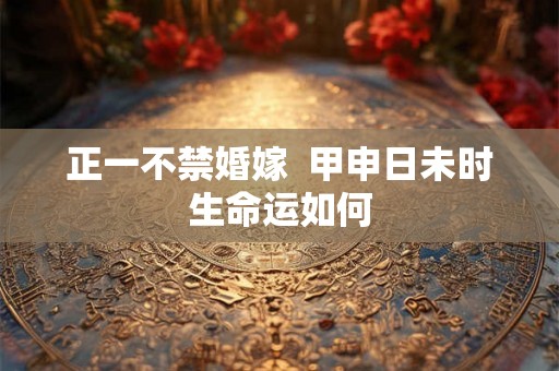 正一不禁婚嫁  甲申日未时生命运如何