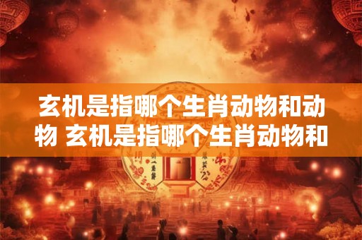 玄机是指哪个生肖动物和动物 玄机是指哪个生肖动物和动物的动物