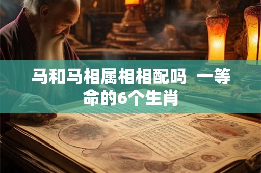 马和马相属相相配吗  一等命的6个生肖