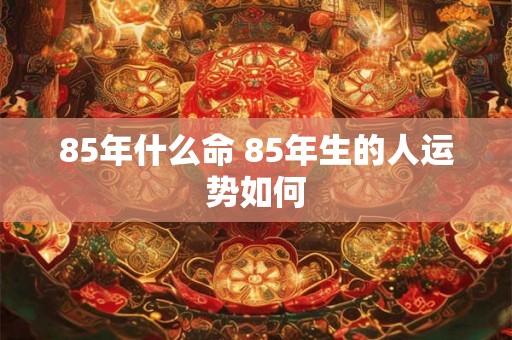 85年什么命 85年生的人运势如何