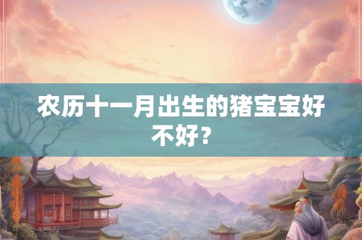 农历十一月出生的猪宝宝好不好？