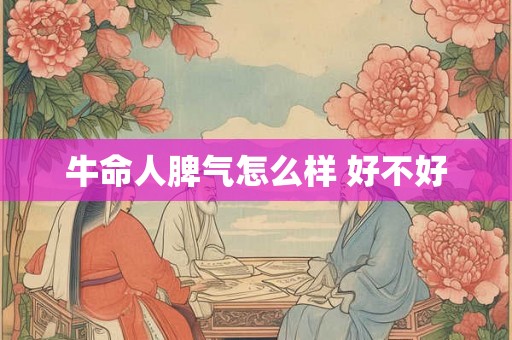 牛命人脾气怎么样 好不好
