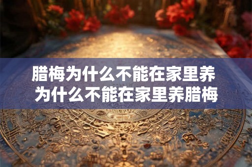 腊梅为什么不能在家里养 为什么不能在家里养腊梅