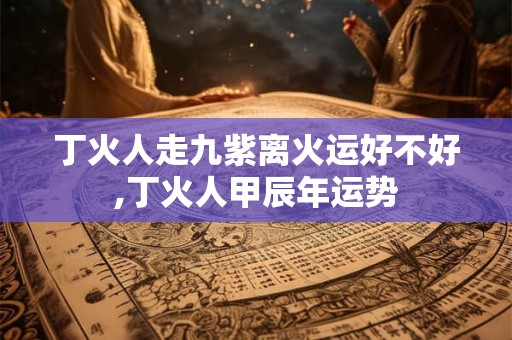 丁火人走九紫离火运好不好,丁火人甲辰年运势