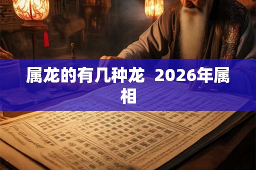 属龙的有几种龙 2026年属相 属龙的有几种龙 2026年属相