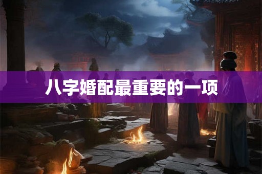 八字婚配最重要的一项